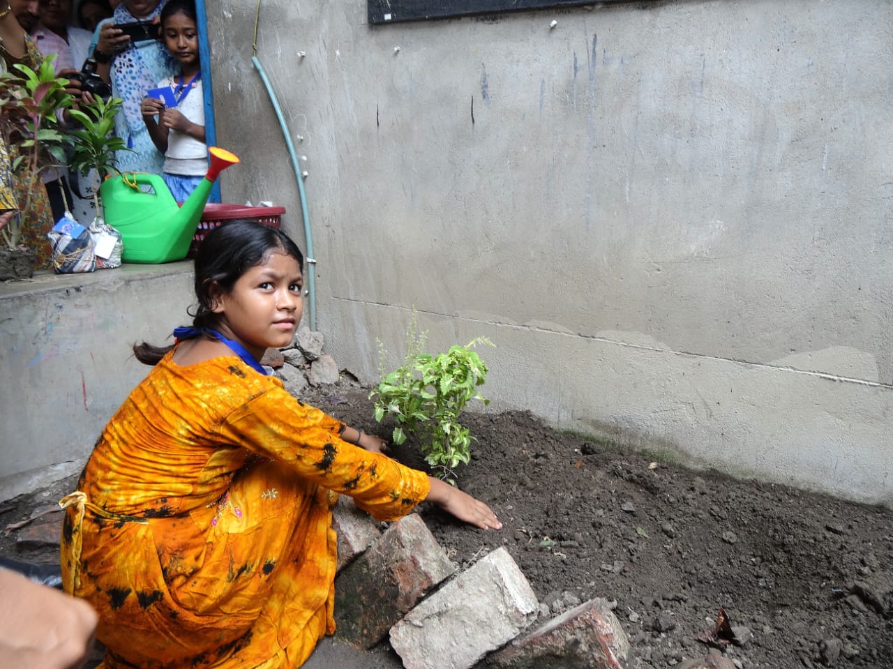 বিশ্ব পরিবেশ দিবস পালন
