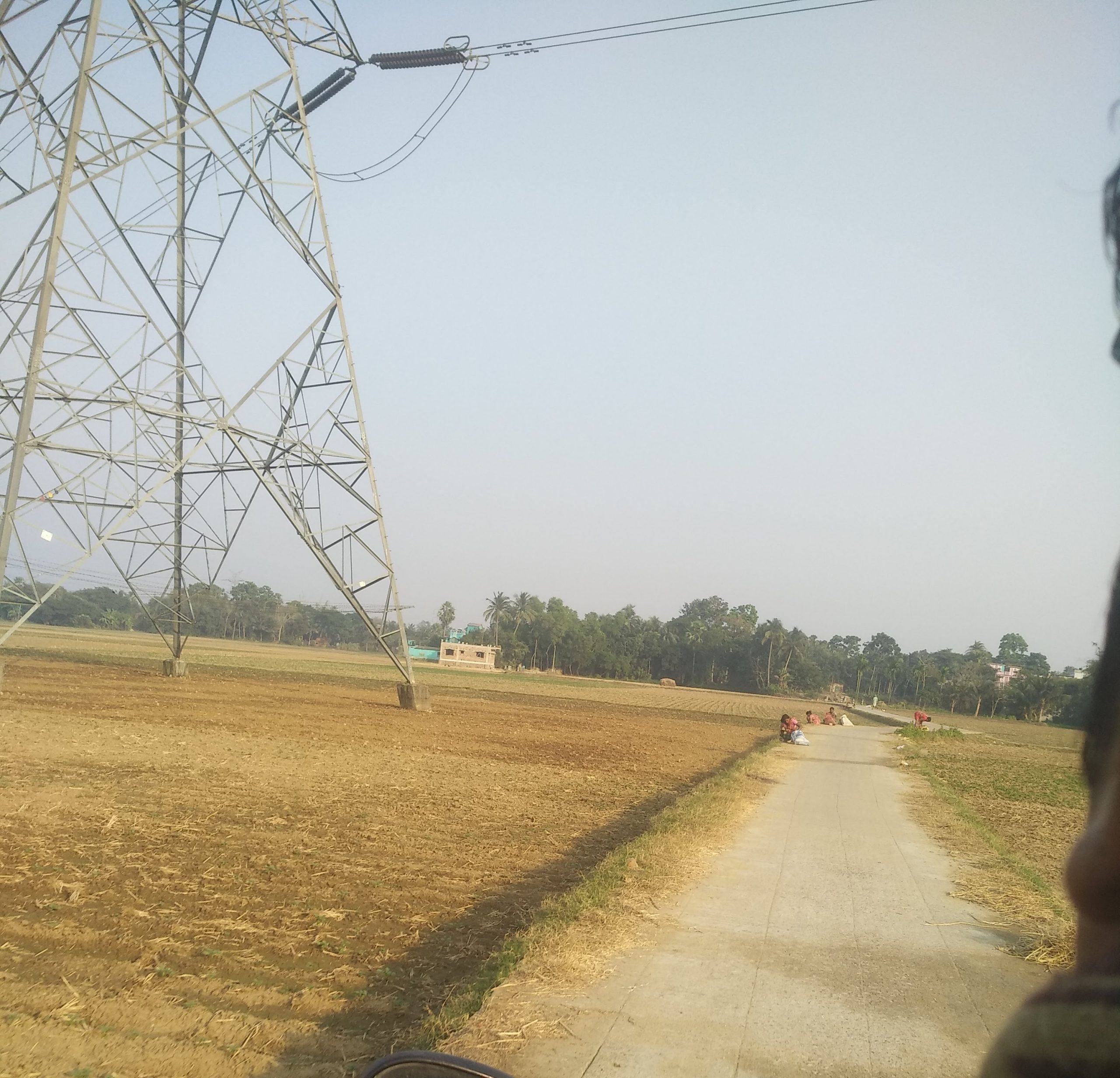 আজ বিশ্ব মৃত্তিকা দিবস