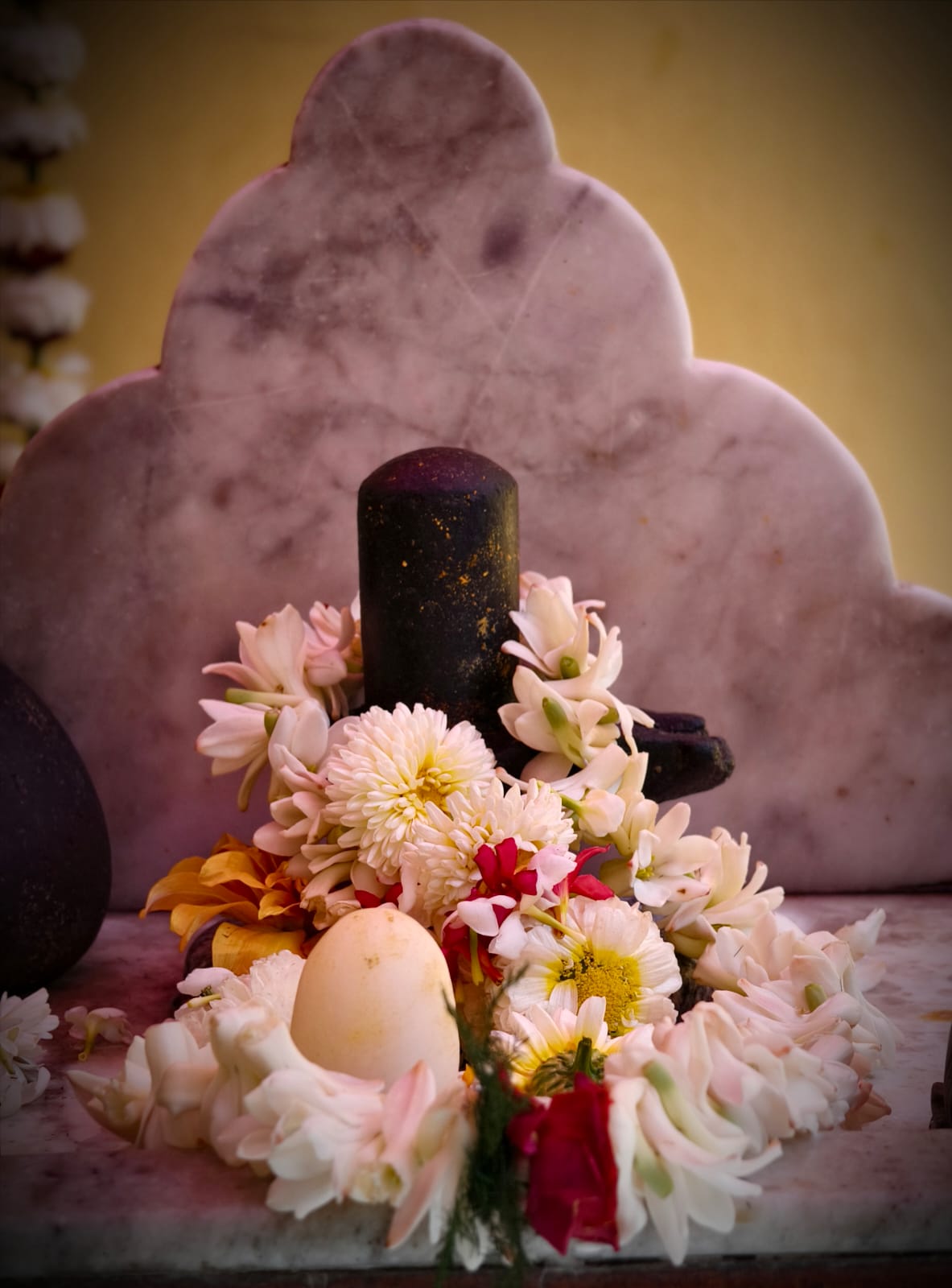 শিবরাত্রিতে পরম বৈষ্ণব রূপে শিবের আরাধনা, বাগবাজার গৌড়ীয় মঠে বিশেষ পূজা ও হরিনাম সংকীর্তন